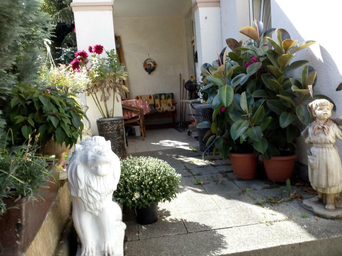 Dach-Studio-Runkel Schadecker Strasse 6 Eksteriør bilde