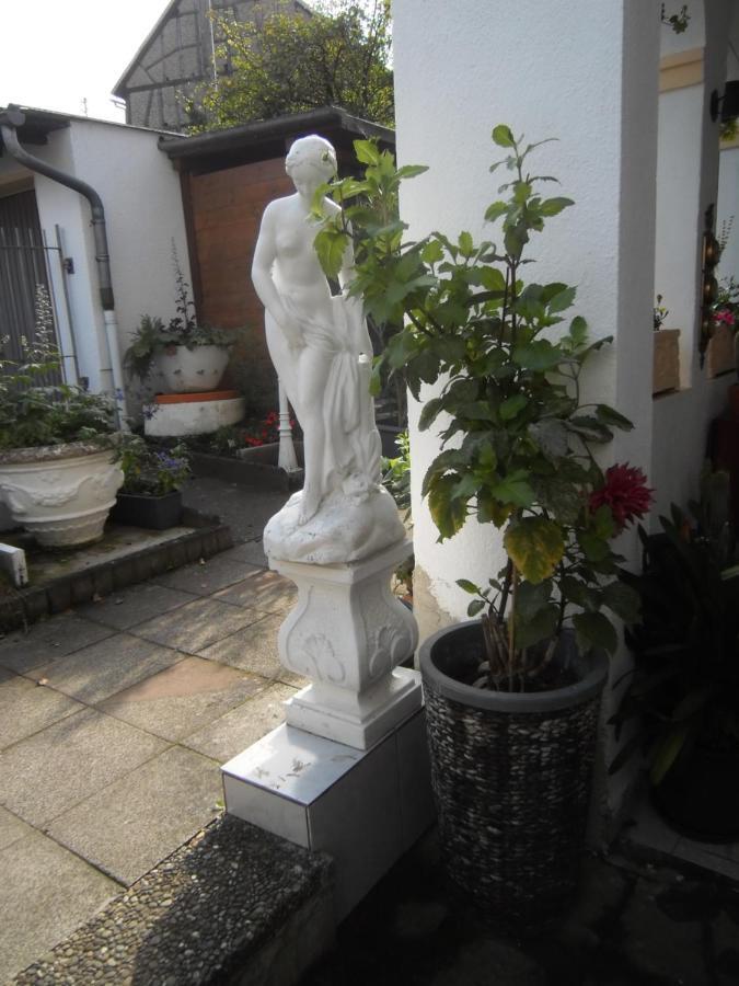 Dach-Studio-Runkel Schadecker Strasse 6 Eksteriør bilde